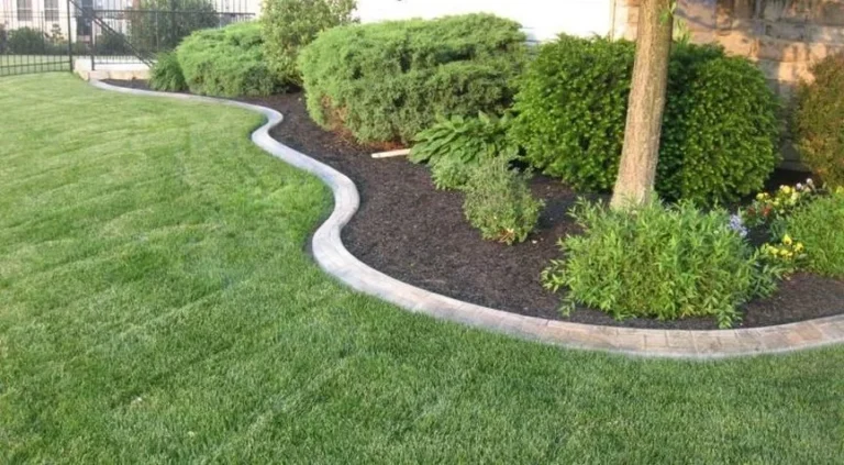 Landscaping Curb Ideas: Enhance Outdoor Appeal with Creative Edging Solutions