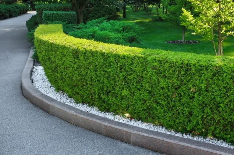 Concrete Landscape Curbing: Ultimate Guide to Durable Borders & Design